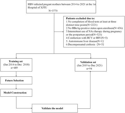 Development and validation of a multivariable nomogram predictive of hepatitis B e antigen seroconversion after pregnancy in hepatitis B virus-infected mothers